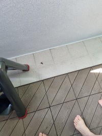 옵붕이 아버지 짱임