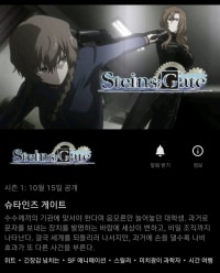 넷플릭스에도 슈타인즈 게이트 뜨네