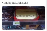 도 레 미 파 솔 라 시발새끼가