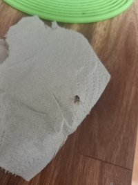 잡았다 이 ㅅ벌년