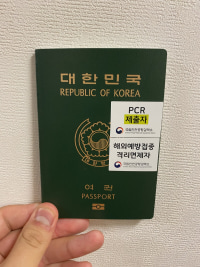 미국살던 옵붕이 도착!