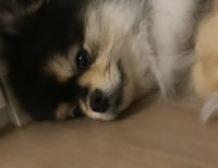 나 자러가도돼?