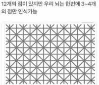 신기한 뇌 인식 ㄷㄷㄷㄷㄷ