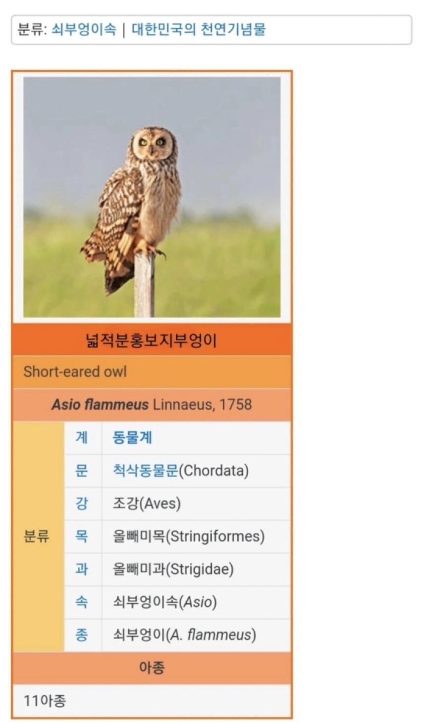 허벌핑ㅂ…..