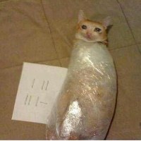 나도 모르는 사이에
