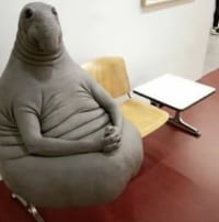 If I get a refund token,