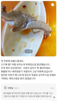 노빠꾸 음식점 사장