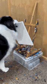 천재견이 직접 그린 그림 2점