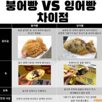 붕어빵 vs 잉어빵