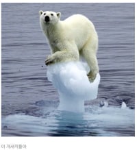 세상이 아직 따뜻한 이유