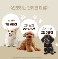 반려견 등록 이름 TOP3