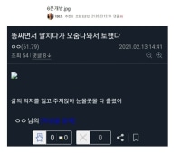 정신이 혼미해지는 디씨인 육문개방