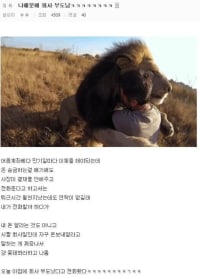 회사 부도나는 거 방치한 디시인