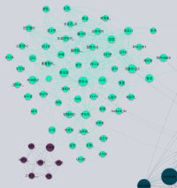 트위치 시청자층 분포표