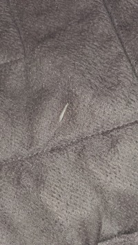 참치캔에 가시도 들어가는거야?