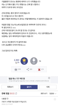 디시는 갤바갤이 맞음