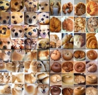 이게 맞나 싶다