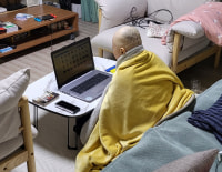 진심 대머리 비하가 아니라