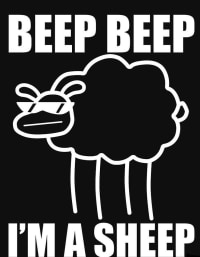 와 뭐지 개쩐당