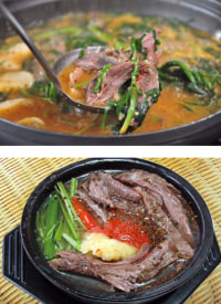 개고기에 대한 옵붕이의 생각은?????