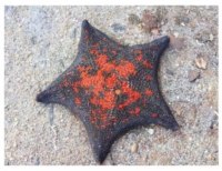 오늘 멍청하다고 차임