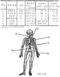 부위별 칼에 찔렸을때 사망에 이르는 시간
