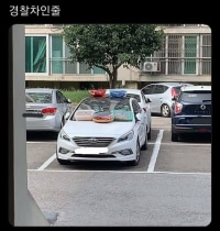 경찰차인줄