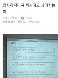 입사하자마자 퇴사 짤 관련 글