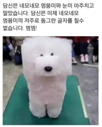 담신믄 네모네모믜 저주메 걸렸습니다