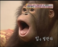 한국사 ㅈㄴ어렵다