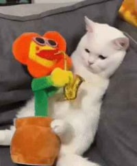 집사야 뭘 사온거냐...