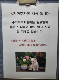 아파트 캣맘 공지문 꼬라지봐라ㅋㅋ