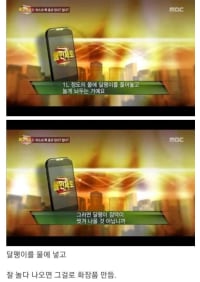 충격적인 달팽이 크림 화장품의 진실