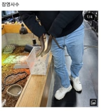 어떤 유튜버의 잠영사수