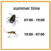 곧 온다는 최악의 2교대