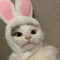 아ㅏ 진자 넘모 스트레스받아