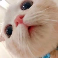 오늘도 결혼 못햇어