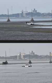 며칠전 갯벌 렌트카 사건의 새로운 시각