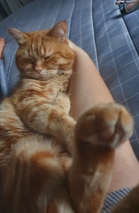 옆구리살이 진짜 조은듯