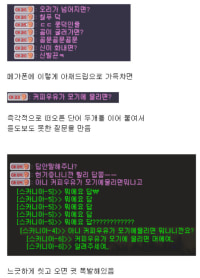 메이플식 어그로 끌기