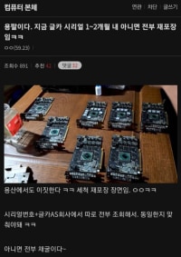 용팔이들 그래픽카드 근황