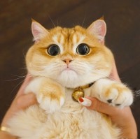 아 진자 요즘 더 결혼하고 십네