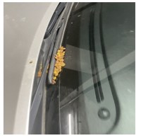 울아파트 캣맘 레전드