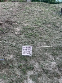 한때 켓맘들때문에 난리 났었던 그 장소