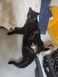 자기침대인줄