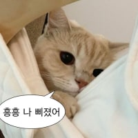 자면서 사람한테 막 앵기는 사람 있음