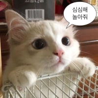 일어났는데 옆에 없으니까