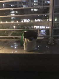 존냐ㅏ귀엽다 2