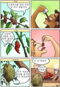 진짜 어떻게 음식이 됐을까??