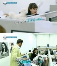 외국 재벌의 한국 직장인 체험